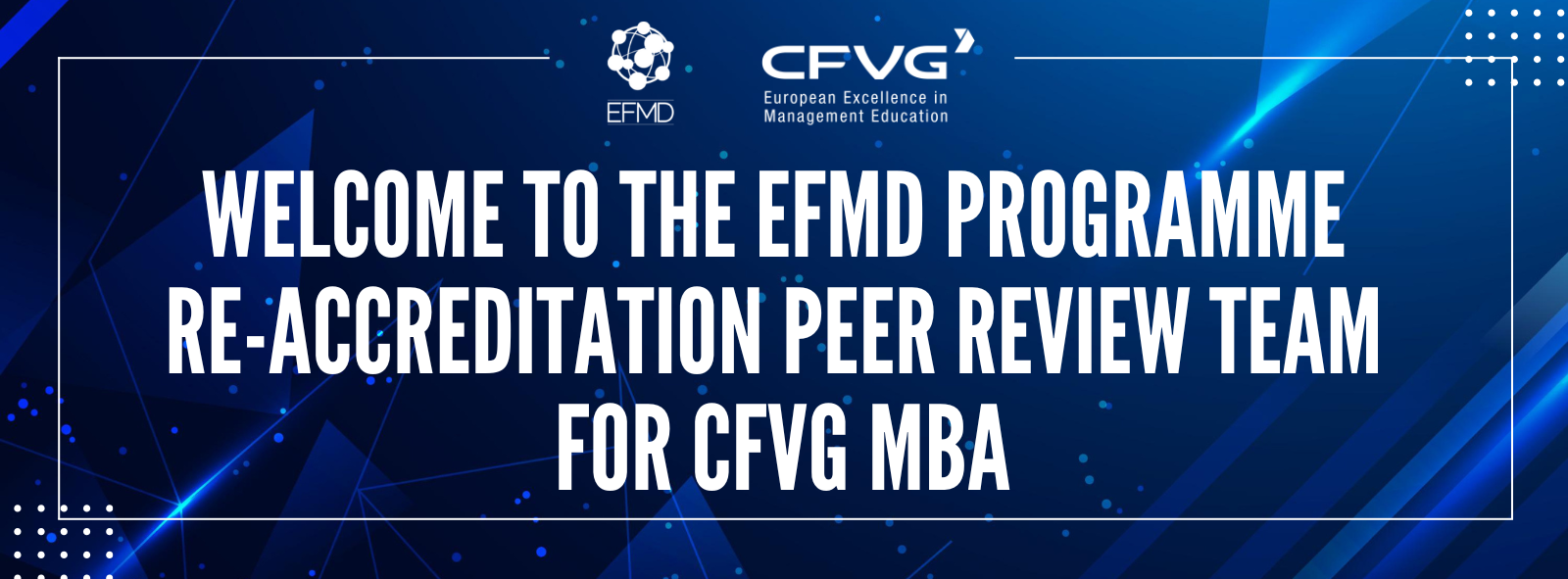 EFMD banner