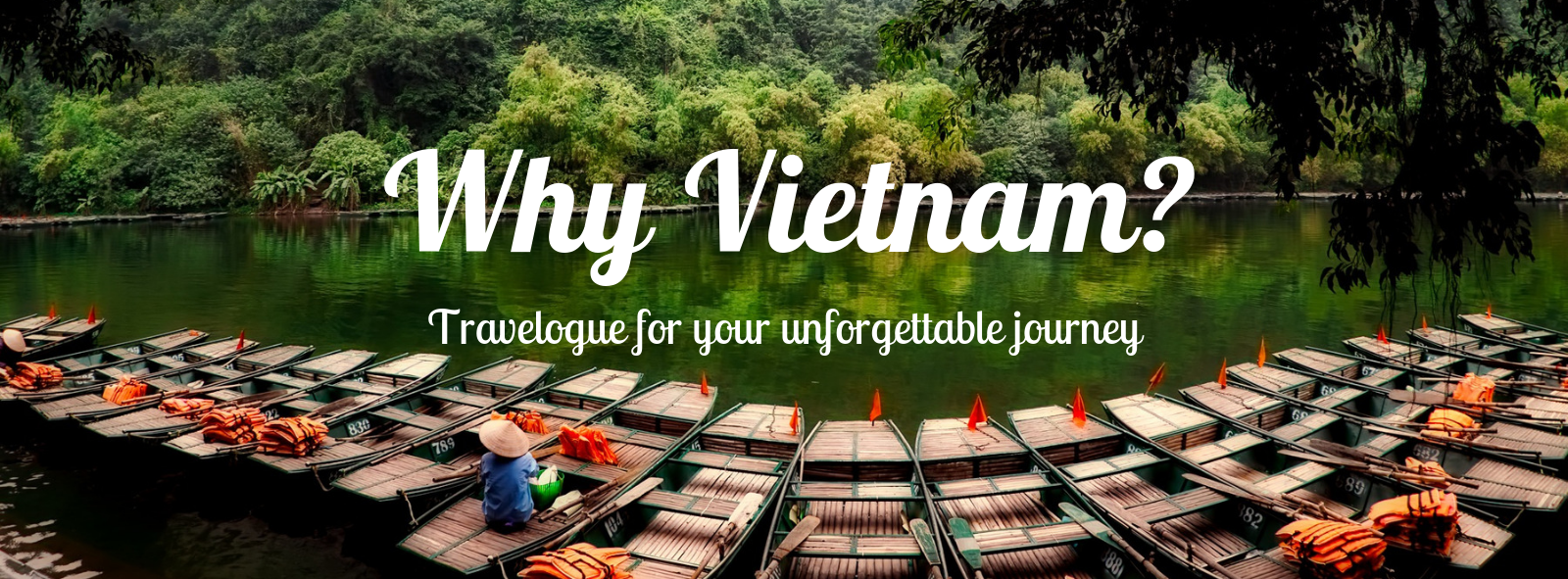 WhyVietnam2